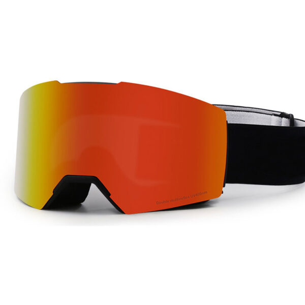 Polarized magnetic ski goggles