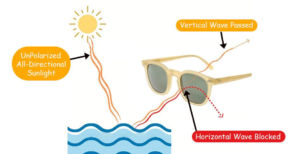 how-polarized-sunglasses-works