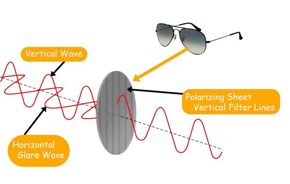 polarizing-sheet-vertical-lines-filter-in-sunglasses