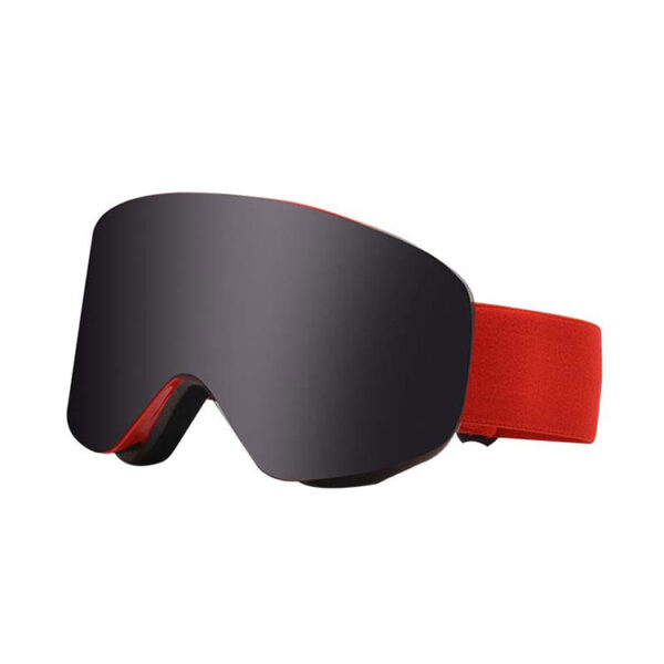 Ski goggles with interchangeable lenses - Image 4