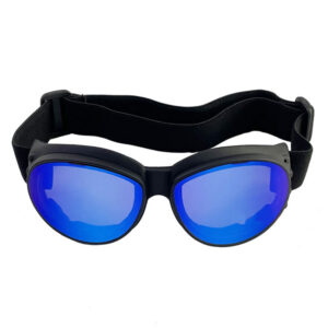 Vintage style goggles interchangeable lenses