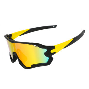 Road bike sunglasses polarized interchangeable temple glasses
