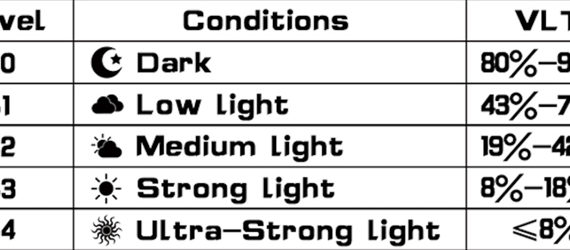 goggle VLT conditions form