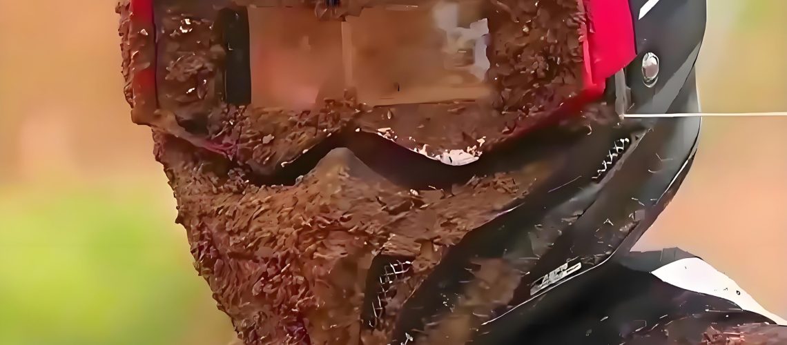 b1256aba-711b-41e8-a816-c51409092493